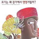 시아북카페 일산벨라시타점