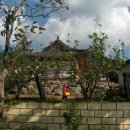 배나무민박 이미지