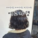태준 | 대치동미용실 단발 히피펌 스타일 변신 후기 (+ 에코쟈뎅 태준쌤)