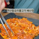 배산정