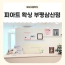 피아트헤어 | 인천 삼산동왁싱 잘하는곳 피아트왁싱 헤어라인 정리 후기