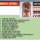 지에스엘 | 몸속 독소 OUT! 엘나스 메타칸으로 시작하는 데일리 디톡스 루틴