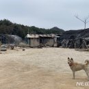 서강원농장 이미지