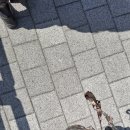 마이큐당구클럽 | 2026 일상기록 : 일산 대화 예비군훈련장 6년차 작계훈련(전반기) 1차 후기