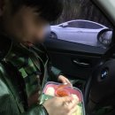 바디조짐 이미지