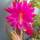 조성위탁영농 이미지