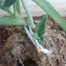 무럭이농장 이미지