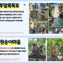 조아투어 이미지