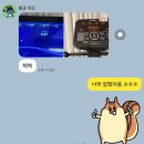 페이퍼 피티 이미지