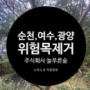 주식회사숲나무 이미지