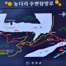 11월 24일 여행과 친구들 힐링트래킹 여행 [마감합니다] 이미지