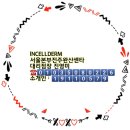 유사품에 주의하세요