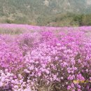 정봉마을회관 이미지