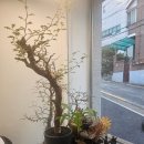 베르데이즈 네이버블로그