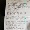 KT안중빌딩 | 마이펫의 이중생활 후기 - 펫들의 매력에 홀릭!