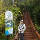 백두여인숙 이미지