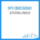 로젠탈 컨설팅 이미지