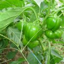 과림농장 이미지