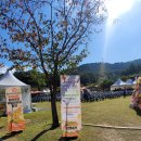 화양초등학교 | 창원단감축제 25일 후기