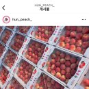 르몽드디자인 이미지