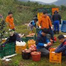 심천면사무소 이미지