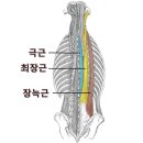 춘양삼성의원 이미지