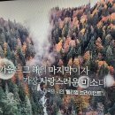 제18회 서대문구청장배 어린이 바둑대회 이미지