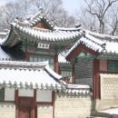 H8079 이미지