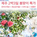 용두암여행사