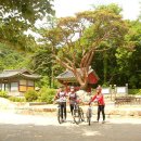 사나사(사찰 앞) 이미지