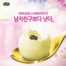 풍성가방 머니투데이