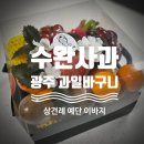 과일왕 | [수완사과] 광주 과일바구니 상견례 예단 이바지 과일 선물 명절과일 내돈내산 솔직 후기