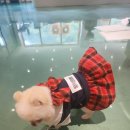 안다랜드 이미지