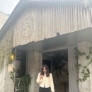 첨단 미용실 / 히피펌맛집 / 아이비리그컷 / 남자다운펌추천 👉🏻오브희헤어 만족한 후기!
