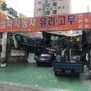 성북자동차유리