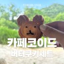 배울로2 이미지