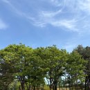 지도공원(테니스장 옆) | 고양 화정 지도공원 러닝코스 운동 주말 나들이 피크닉 공원