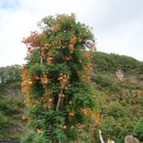 사립강원종합박물관 이미지