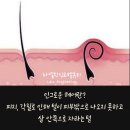 라엘왁싱&벨 뷰티 이미지