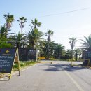 동백목장2 이미지