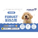 포러스트