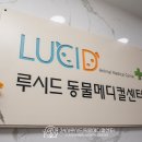 북악동물병원 네이버블로그