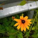 흙집이야기펜션 이미지