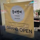 광주 수제 간식 맛집 홍찌빵찌, 양림동 다쿠아즈 디저트 선물용으로 딱이야