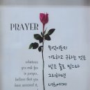늦은 금요일 의 서귀포에서 올립니다 이미지