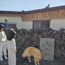 남원읍-58 | 제주 봉봉감귤체험 후기 천혜향 레드향 무제한으로 따먹고 사진까지 알차게 남긴 날
