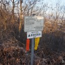 황박 묘 이미지