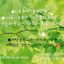 민락-304 이미지