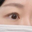 더더반하다뷰티