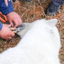 작은깡통 이미지